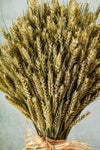 WHEAT SHEAF - NATURAL GREEN