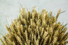 WHEAT SHEAF - NATURAL GREEN