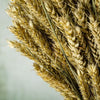 WHEAT SHEAF - NATURAL GREEN