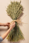 WHEAT SHEAF - NATURAL GREEN