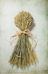 WHEAT SHEAF - NATURAL GREEN