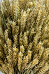 WHEAT STOOK - GREEN