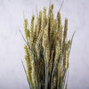 CASTLE FARM GREEN WHEAT BUNCHES