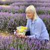 LADYBIRD LAVENDER OIL