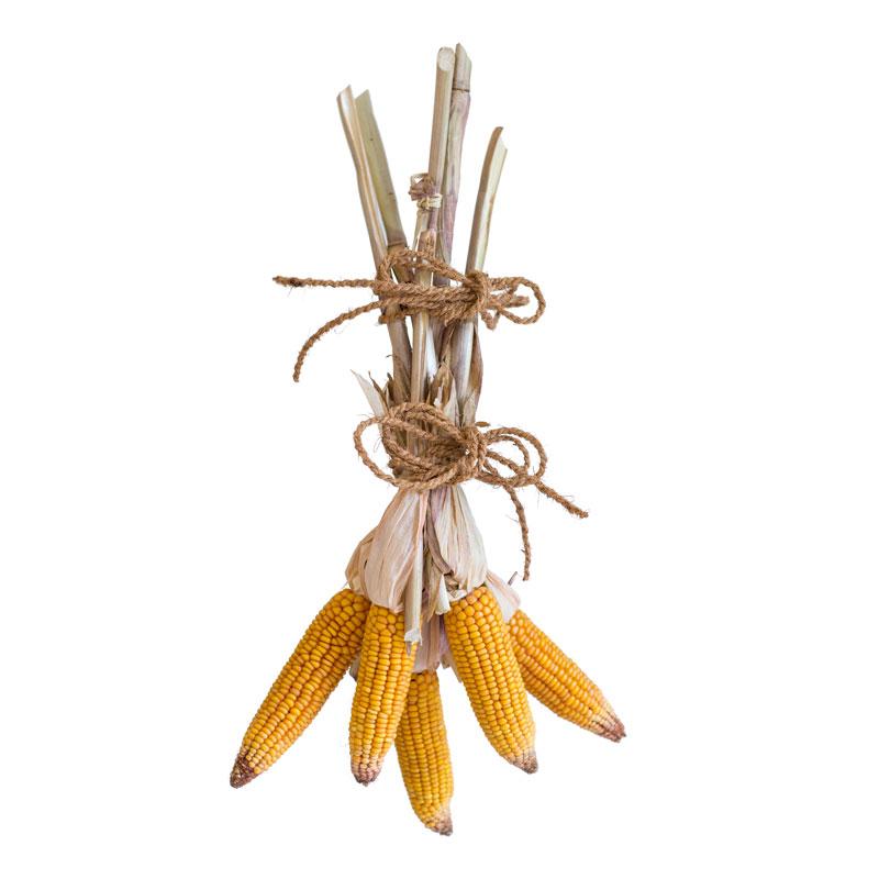 CASTLE FARM DECORATIVE CORN COBS &#39;MAIZE&#39; SWAG