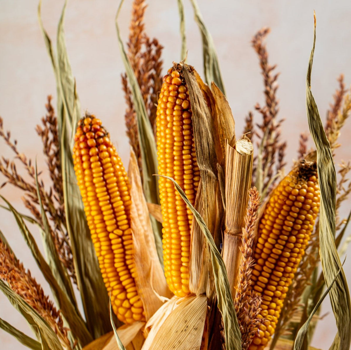 MAIZE BOUQUET