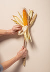 DECORATIVE CORNCOBS or &#39;MAIZE&#39;