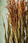 DRIED MAIZE TOPS