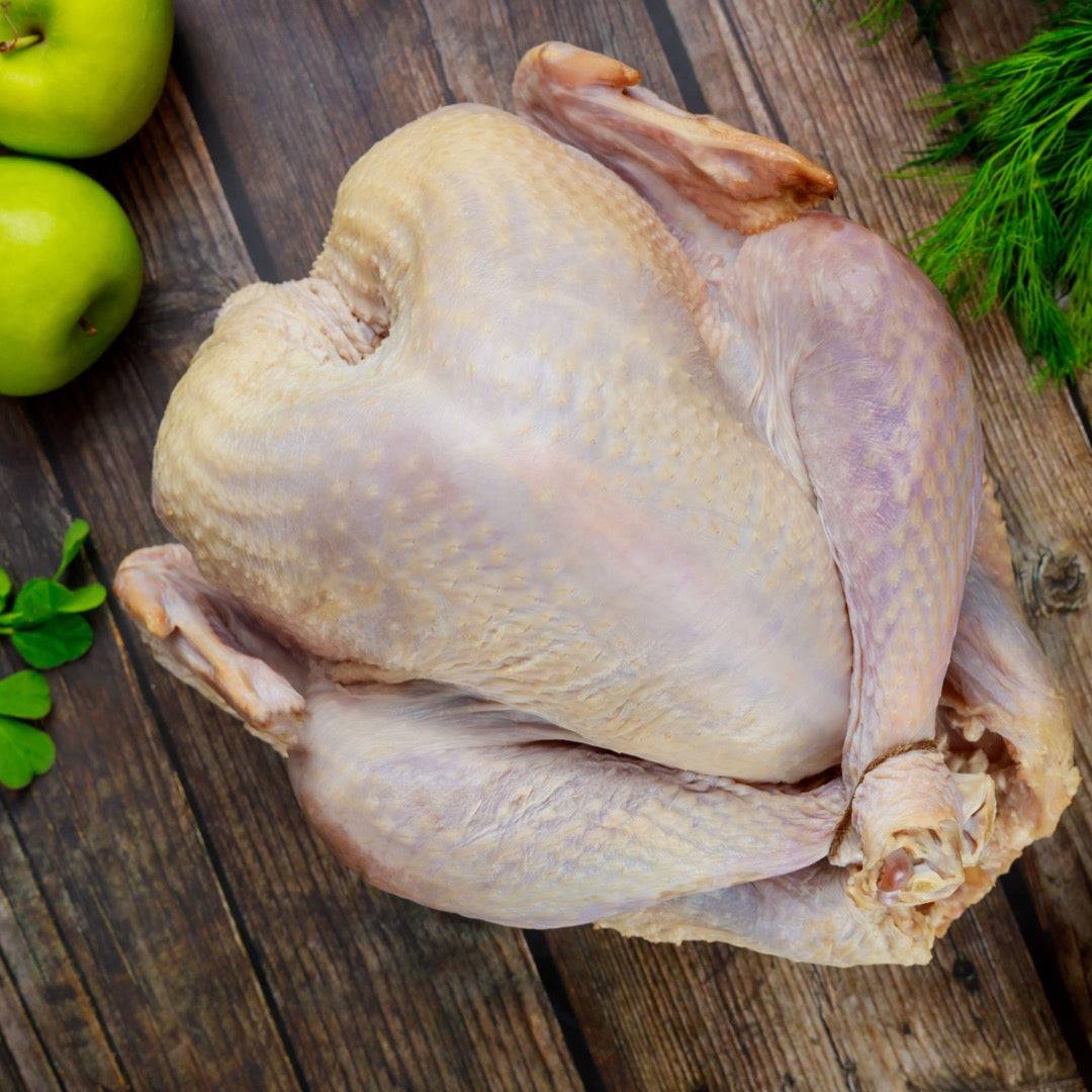 WHITE Free Range Turkey - Paid in Full