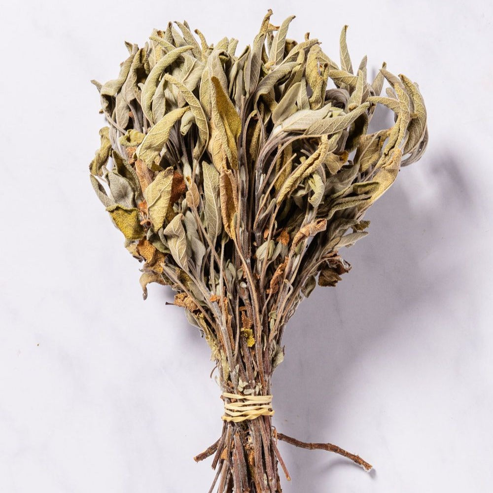 DRIED SAGE