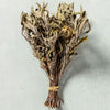 DRIED SAGE