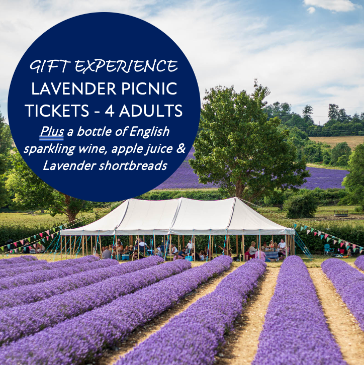 LAVENDER PICNIC TICKETS FOR 4 ADULTS, WITH ENGLISH SPARKLING WINE - EXPERIENCE GIFT