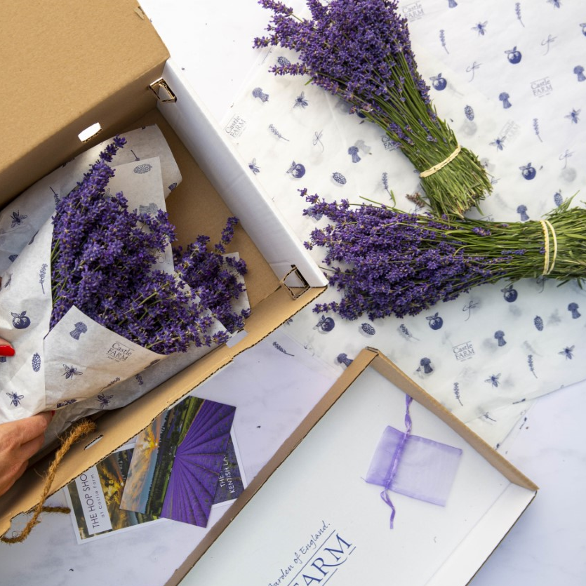 FRESH LAVENDER BUNCHES FOR PRE ORDER
